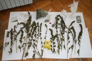 Slika PU_SD/16.10. droga.jpg
